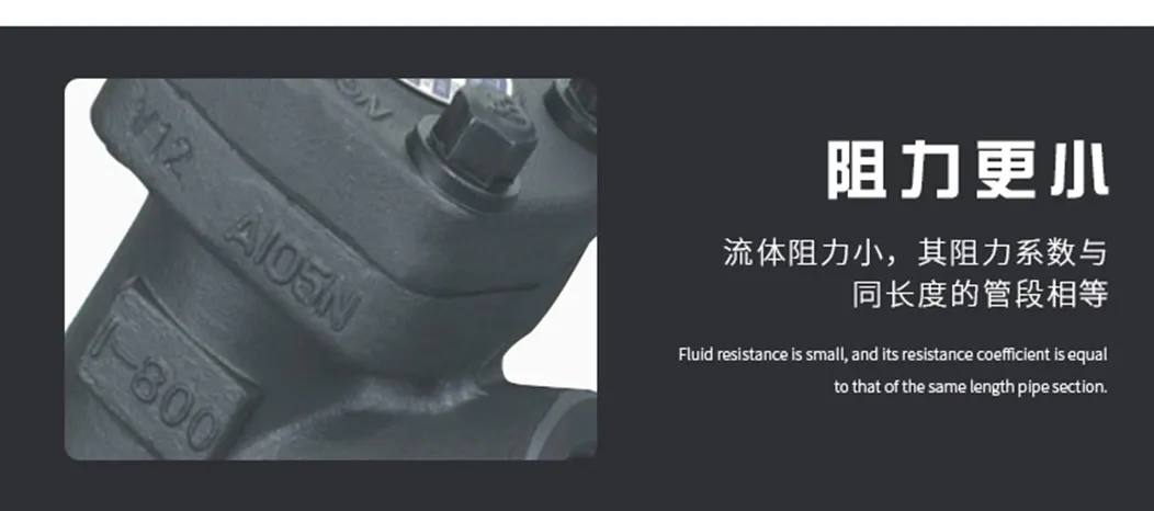 check valve 11 check valve 11
